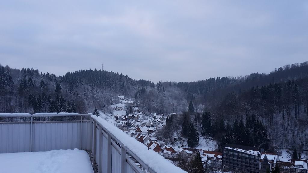 Ferien Penthouse Panoramablick Oder Studio Panoramablick Bad Grund Exterior photo
