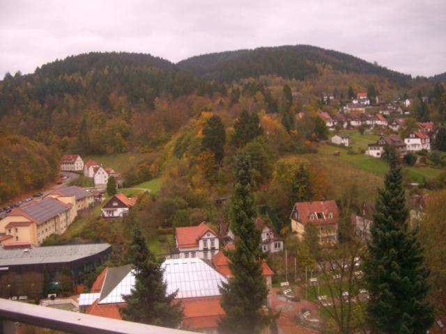 Ferien Penthouse Panoramablick Oder Studio Panoramablick Bad Grund Exterior photo