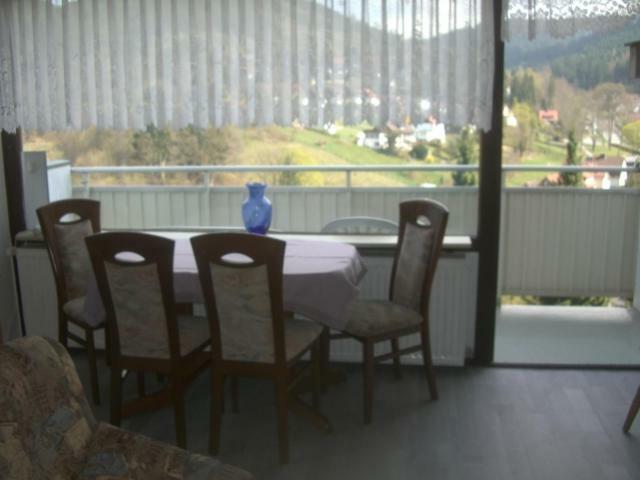Ferien Penthouse Panoramablick Oder Studio Panoramablick Bad Grund Exterior photo
